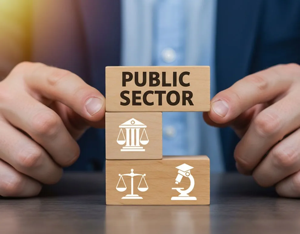 Government & Public Sector
